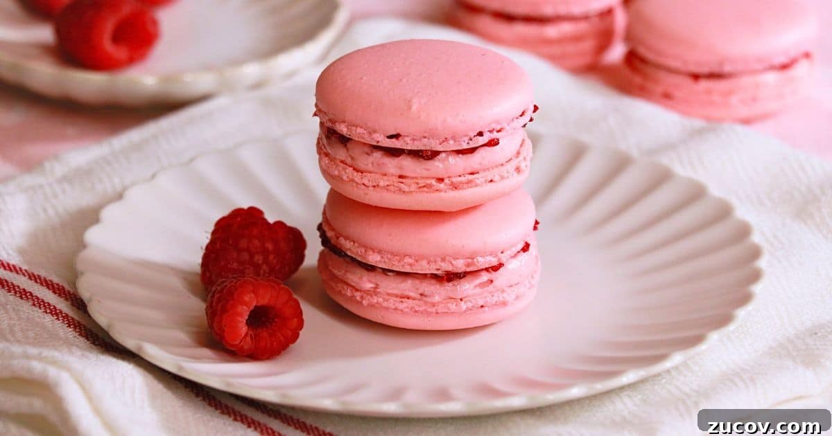 Raspberry Macarons Recipe: Light, Tangy French Cookies 4 homemade raspberry macarons made with Italian meringue