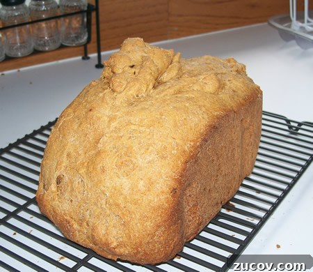 Taco-Flavored Bread Recipe for Bread Machines: Savory Loaf Guide 5 Taco Bread