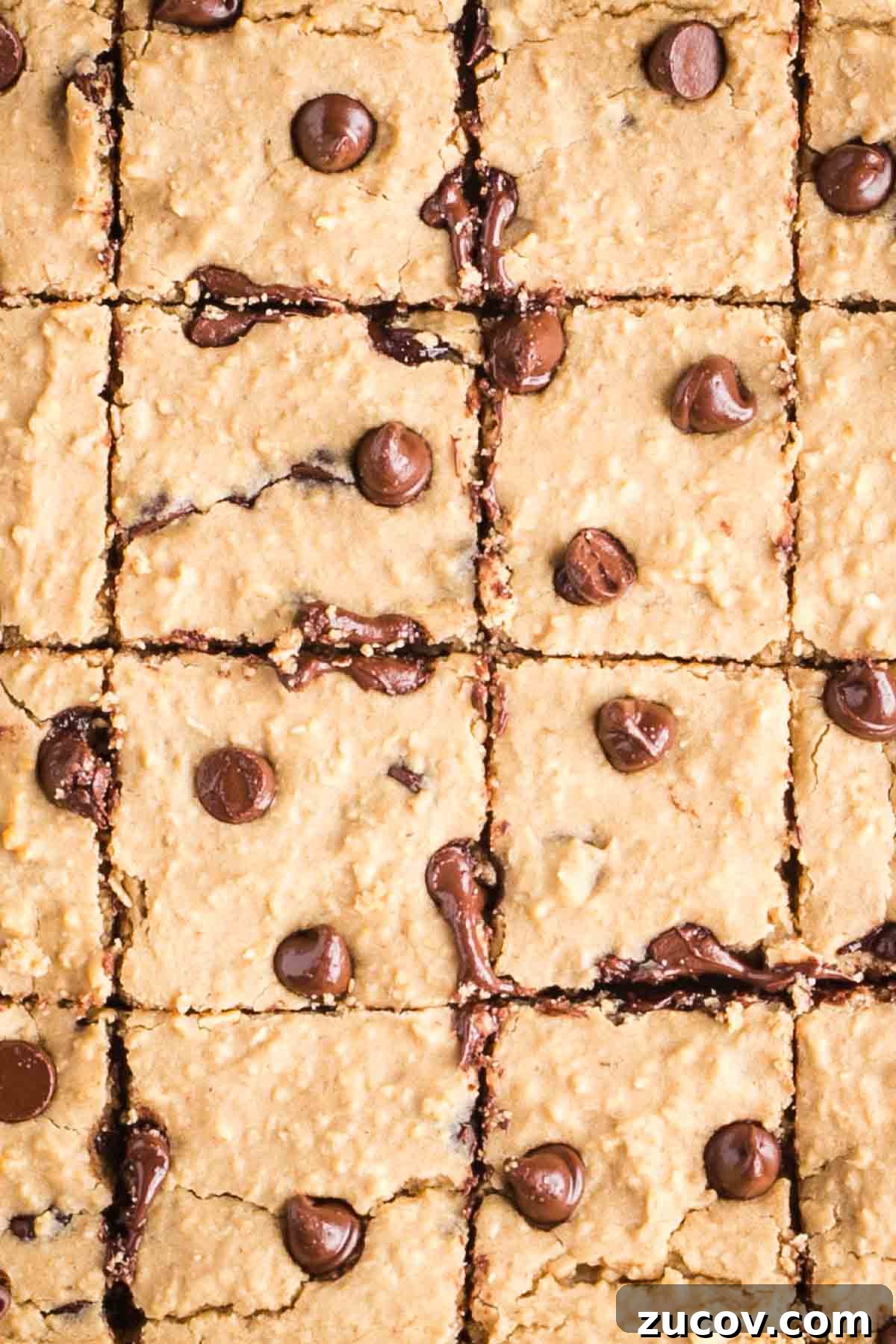 Vegan White Bean Blondies: Chewy, Protein-Packed Treats 13 Blondies with chocolate chips cut into squares.