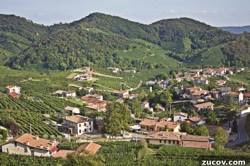 Prosecco Explained: A Complete Guide to Italy’s Sparkling Wine 5 img 20948 4