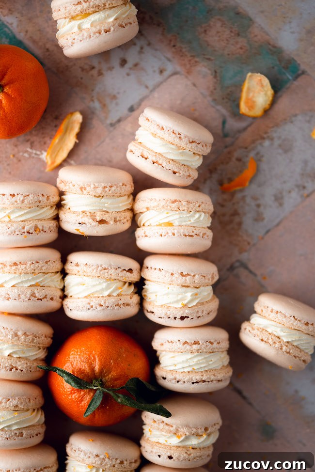 Cara Cara Orange Macarons Recipe — Bright Citrus French Cookies 7 orange macarons