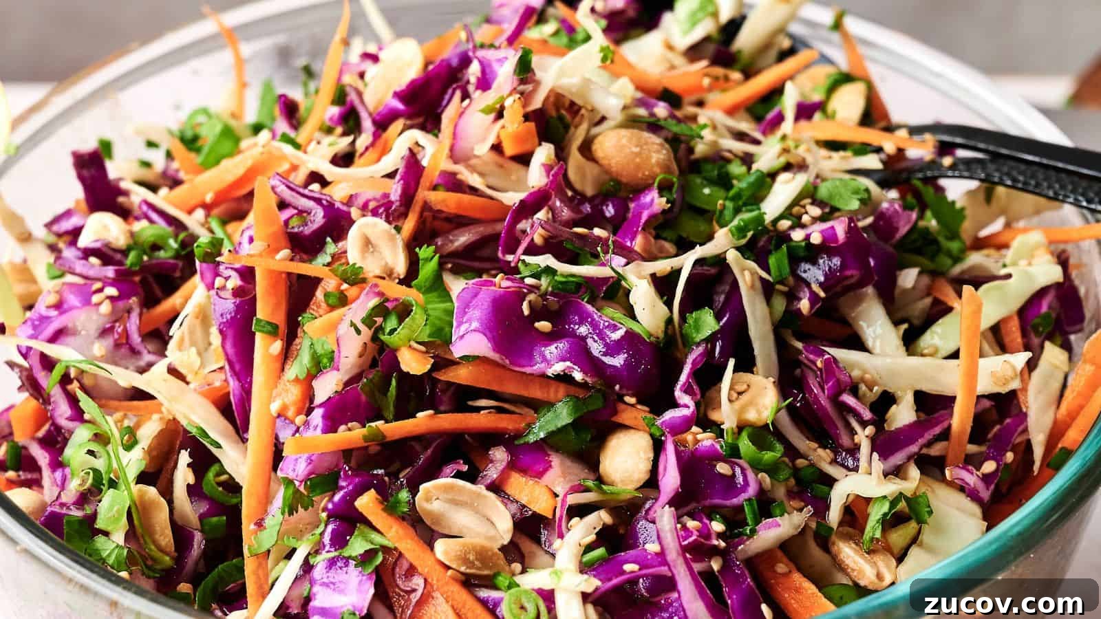 21 Summer Budget Meals That Make Takeout Obsolete 5 A bowl of colorful coleslaw with shredded purple and green cabbage, carrots, chopped peanuts, and greens, mixed with dressing.