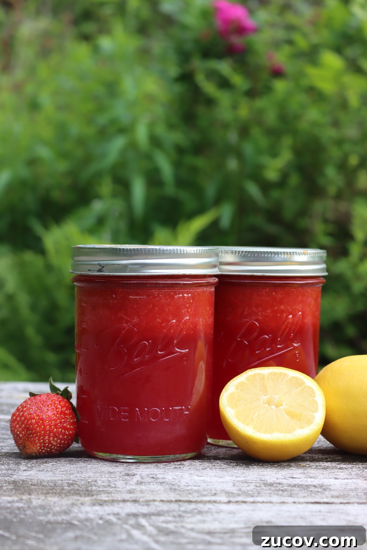 How to Can Strawberry Lemonade Concentrate for Long-Term Storage 5 Canning Strawberry Lemonade Concentrate