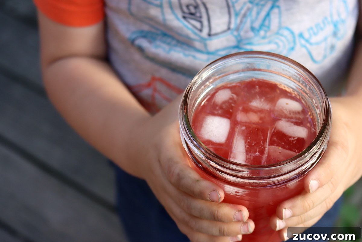 How to Can Strawberry Lemonade Concentrate for Long-Term Storage 6 Making Strawberry Lemonade Concentrate