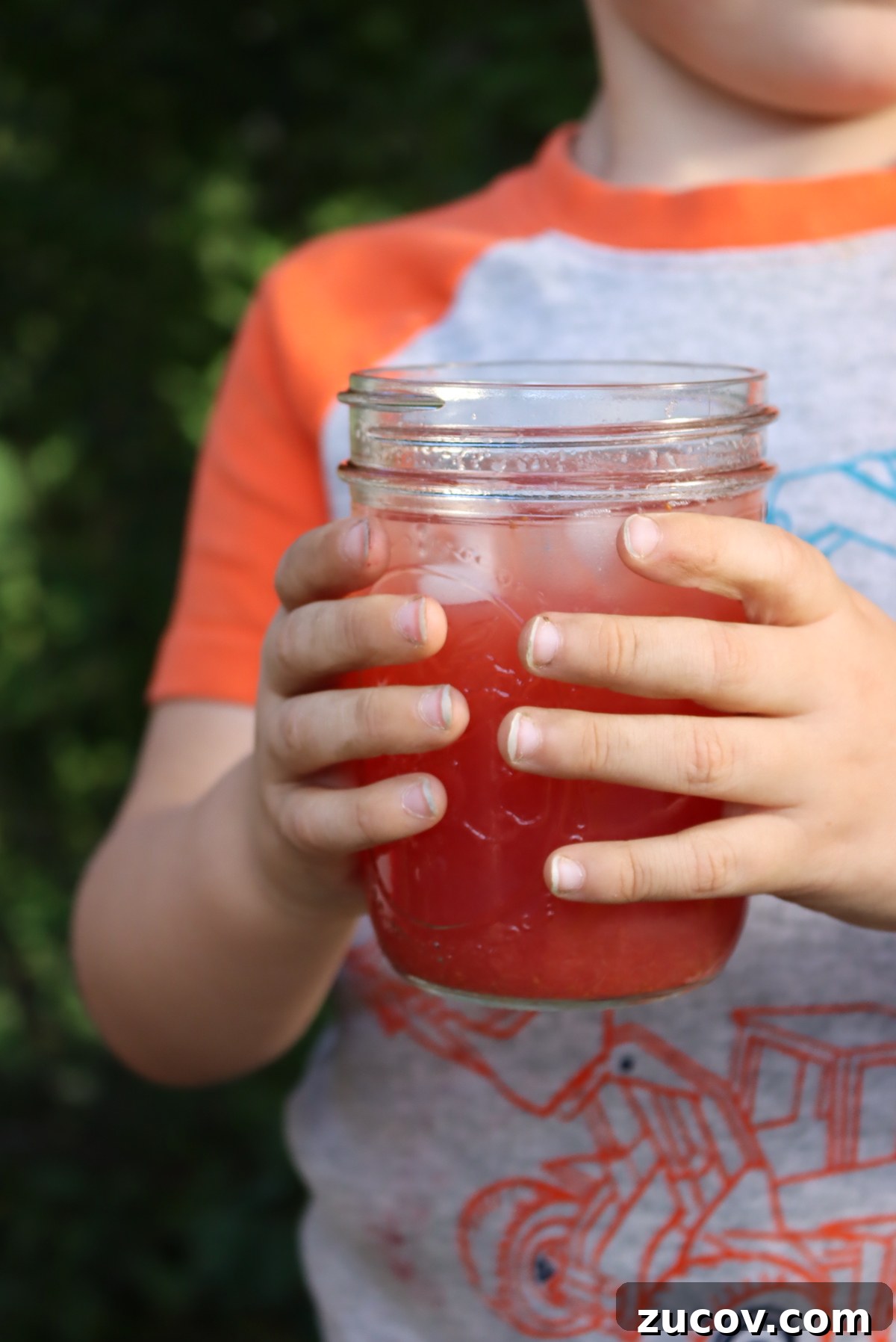 How to Can Strawberry Lemonade Concentrate for Long-Term Storage 8 Making Strawberry Lemonade Concentrate
