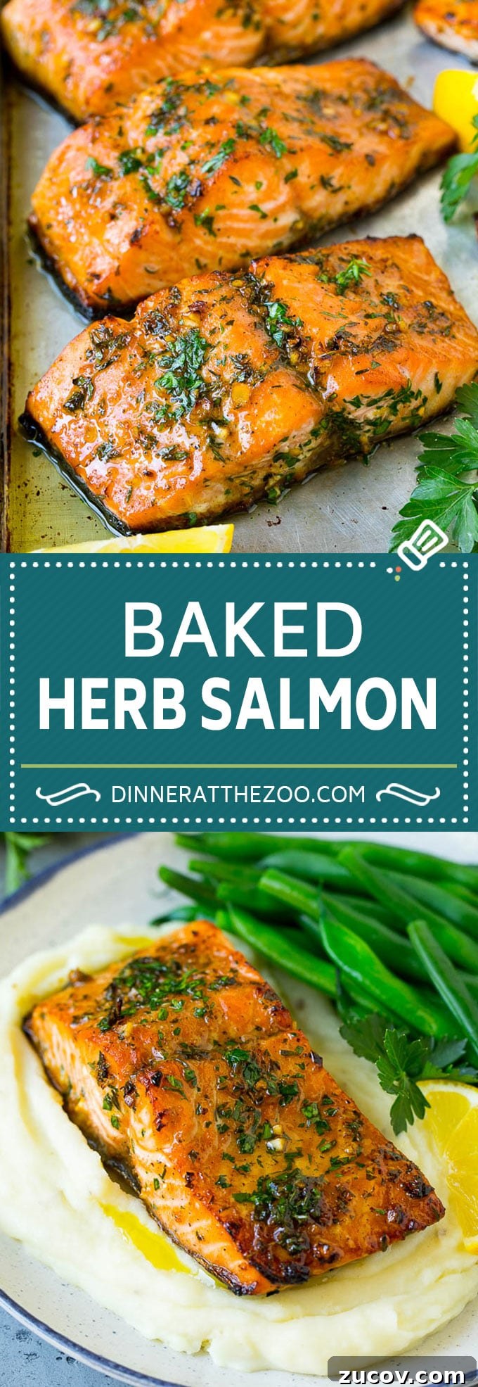 Baked Salmon Recipe | Garlic Salmon | Roasted Salmon #salmon #seafood #fish #dinner