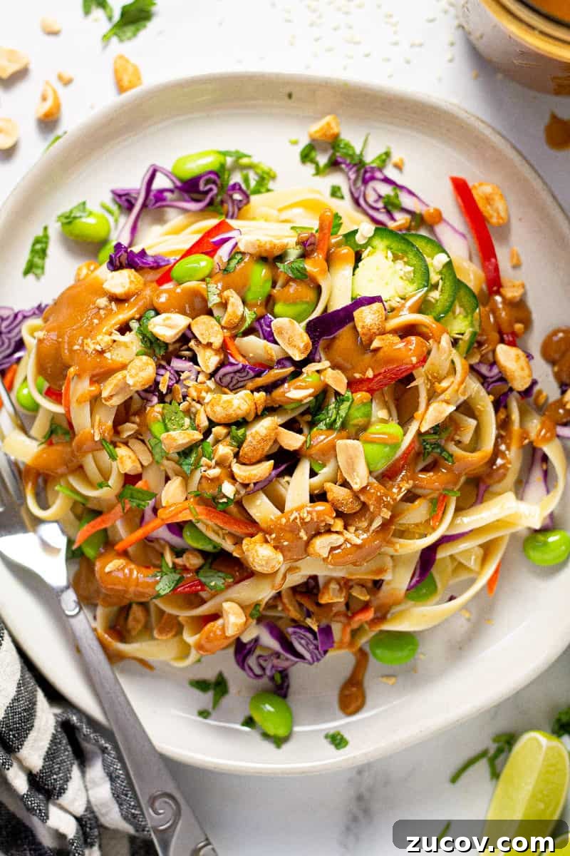 Chilled Vegan Peanut Noodle Salad with Crunchy Veggies 3 Plate filled with vegan peanut pasta salad garnished with green onions
