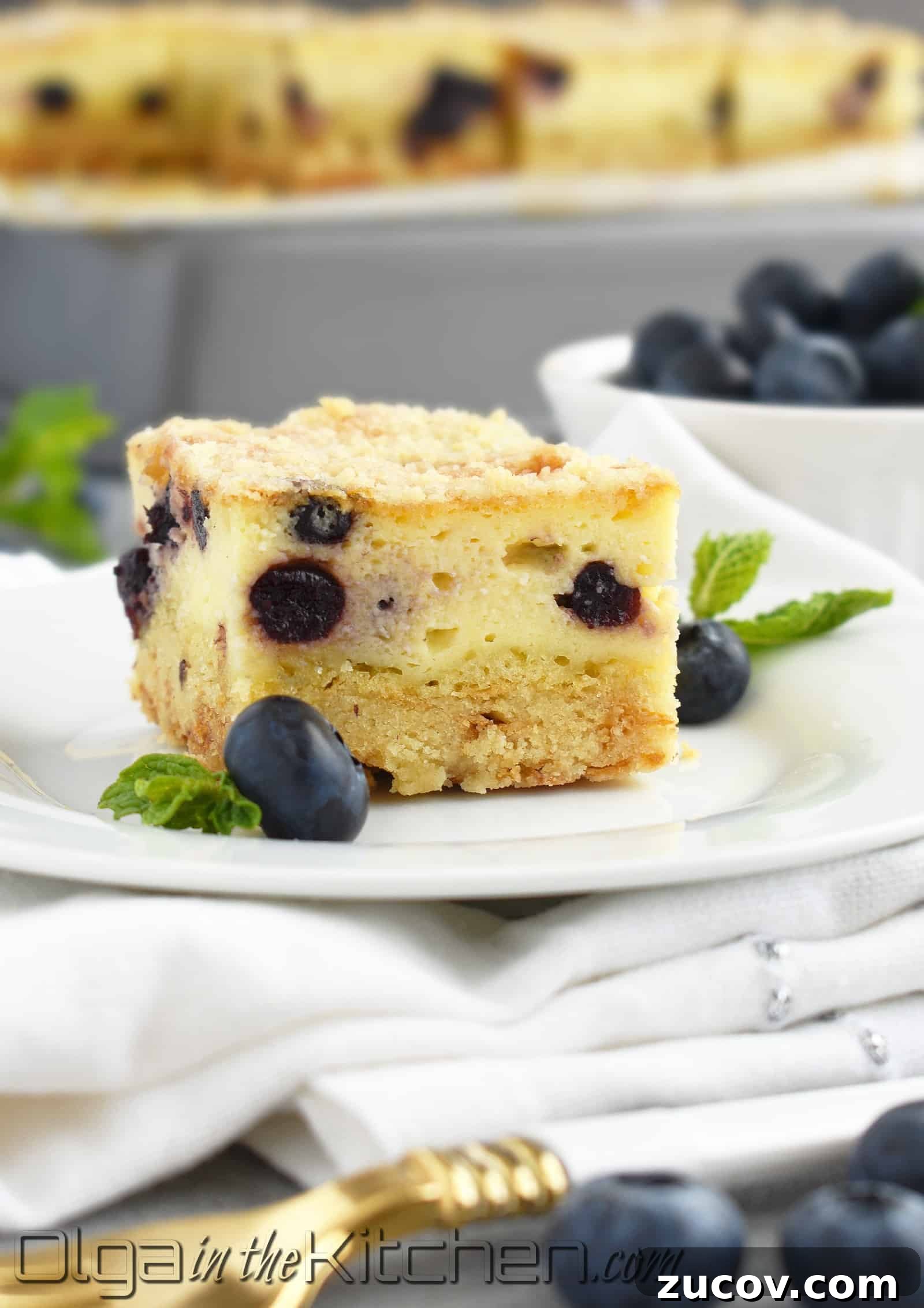 Blueberry Crumb Cake with Farmer’s Cheese Filling 2 Farmer’s Cheese Blueberry Crumb Cake: slightly sweet, creamy and buttery with a little blueberry hint; Ukrainian kind of cheesecake!