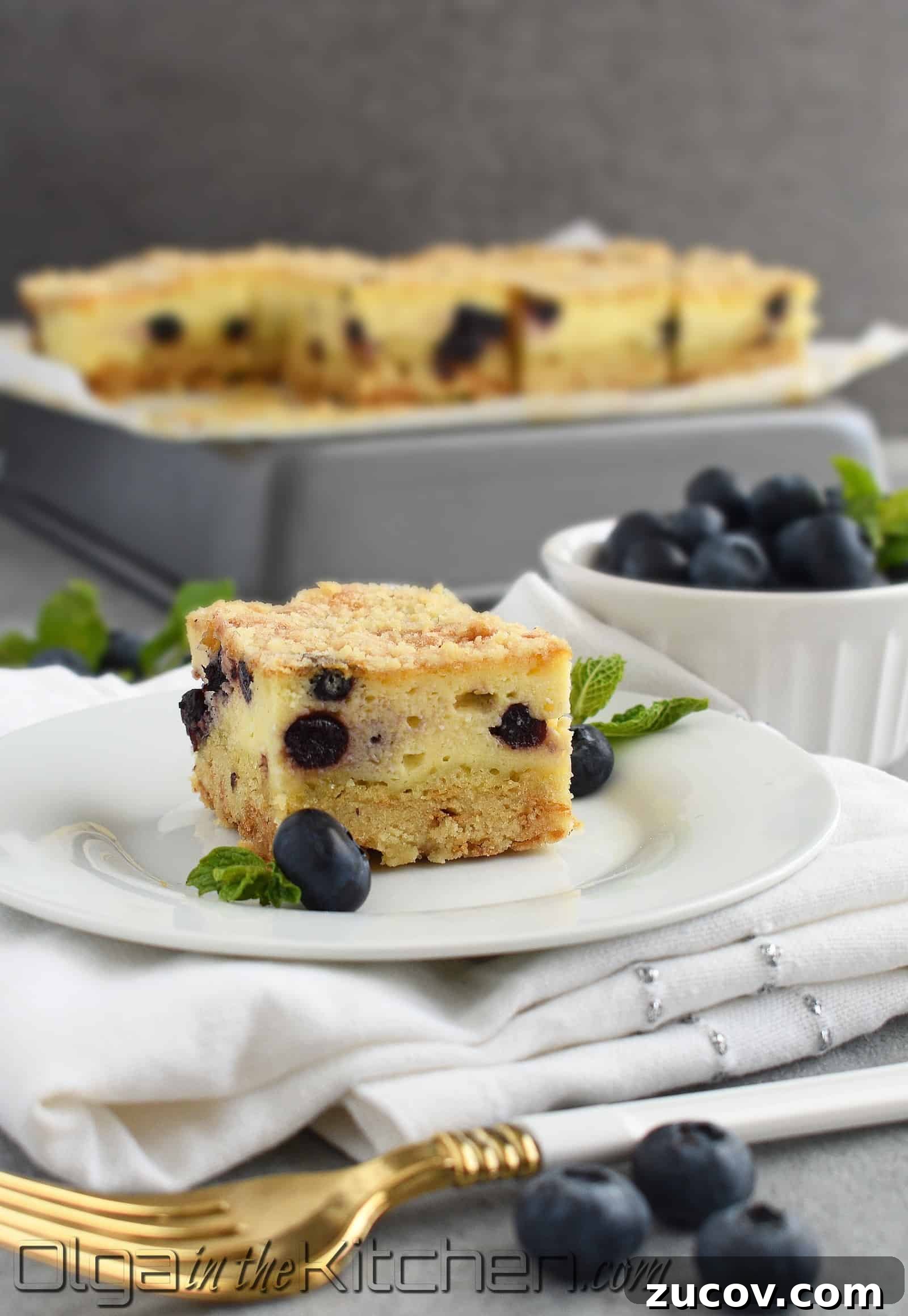 Blueberry Crumb Cake with Farmer’s Cheese Filling 11 img 2257 10