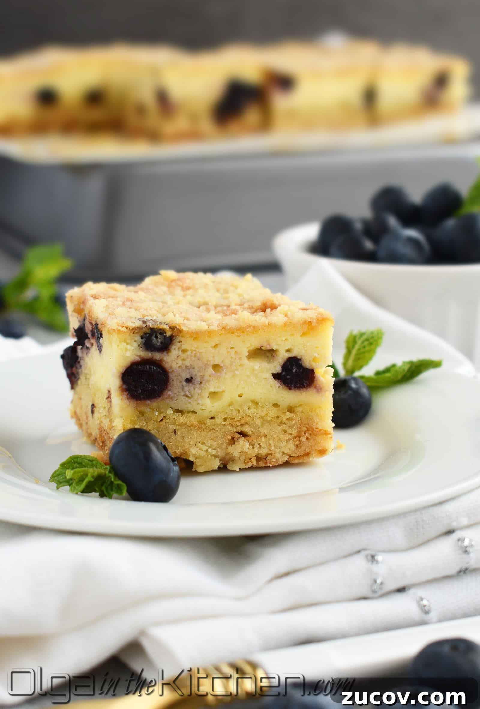 Blueberry Crumb Cake with Farmer’s Cheese Filling 3 img 2257 2