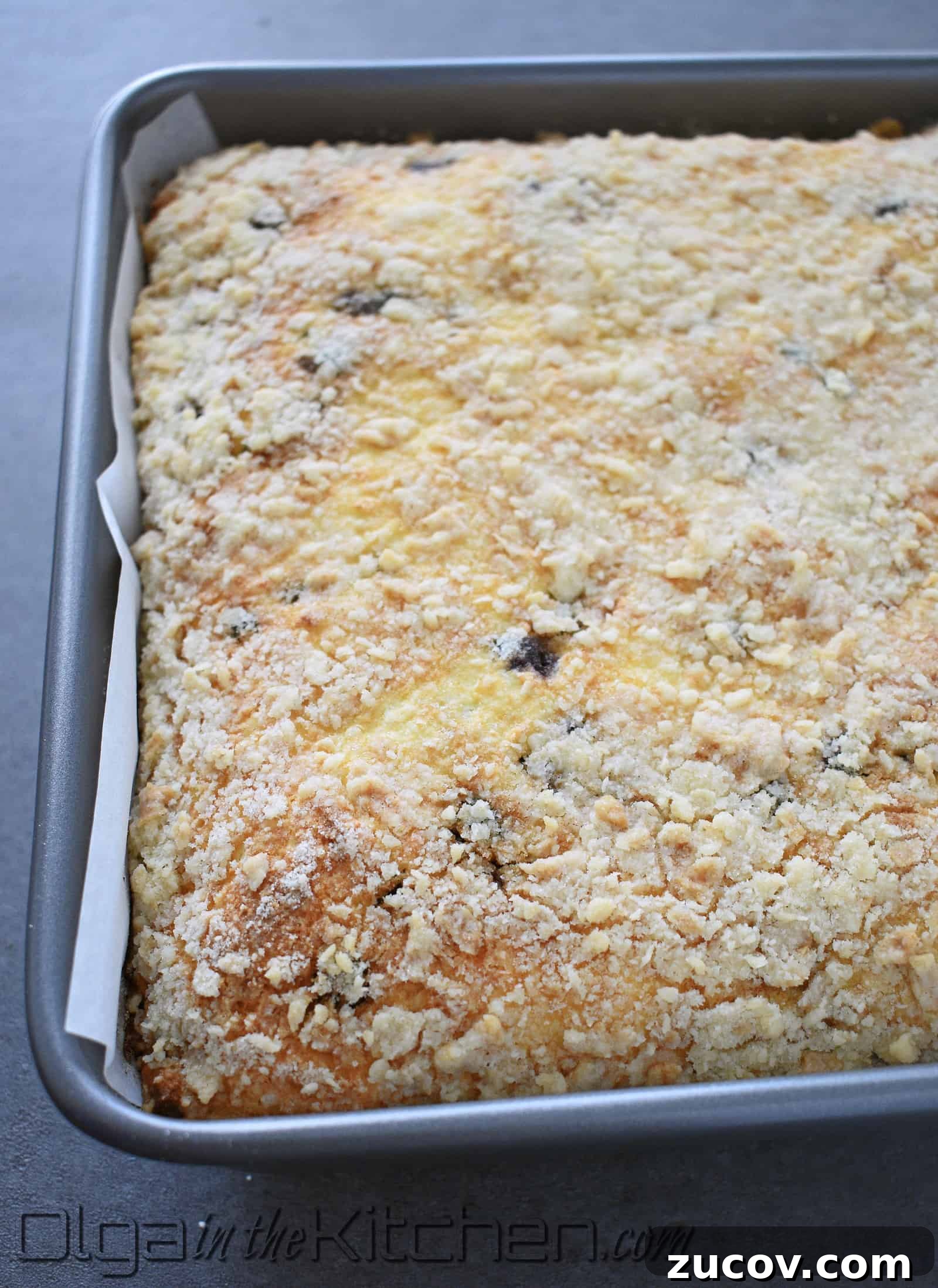Blueberry Crumb Cake with Farmer’s Cheese Filling 9 img 2257 8