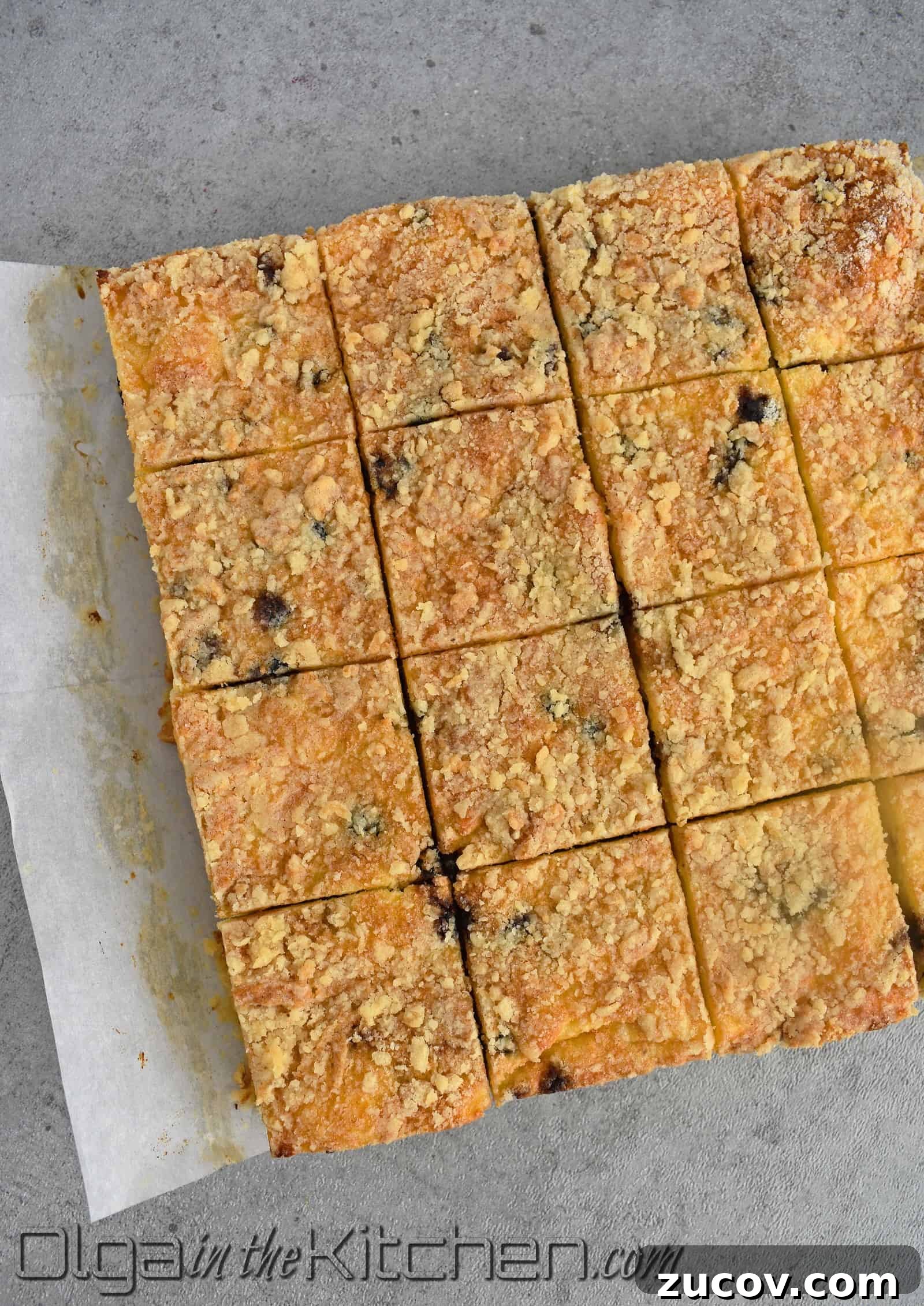 Blueberry Crumb Cake with Farmer’s Cheese Filling 10 img 2257 9