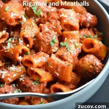 Instant Pot Shrimp Alfredo Recipe — Creamy 20-Minute Dinner 13 Instant pot rigatoni and frozen meatballs