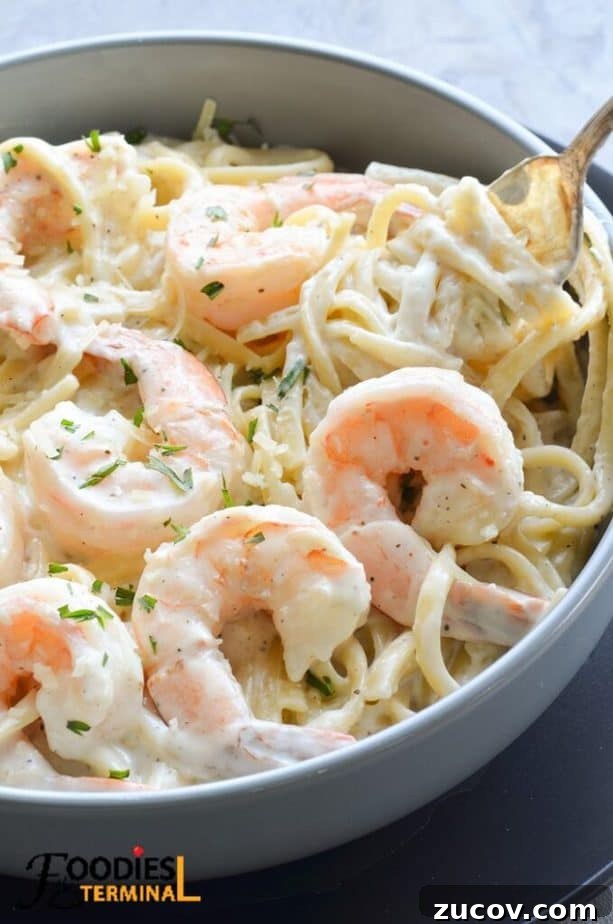 Instant Pot Shrimp Alfredo Recipe — Creamy 20-Minute Dinner 10 best instant pot shrimp alfredo in a grey bowl being lifted with a fork