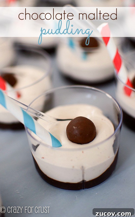 The Fat Man’s Delight: Classic Hearty Comfort Dish 13 Chocolate Malted Pudding from CrazyforCrust