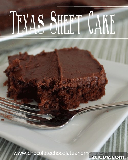 The Fat Man’s Delight: Classic Hearty Comfort Dish 10 Texas Sheet Cake from www.chocolatechocolateandmore.com