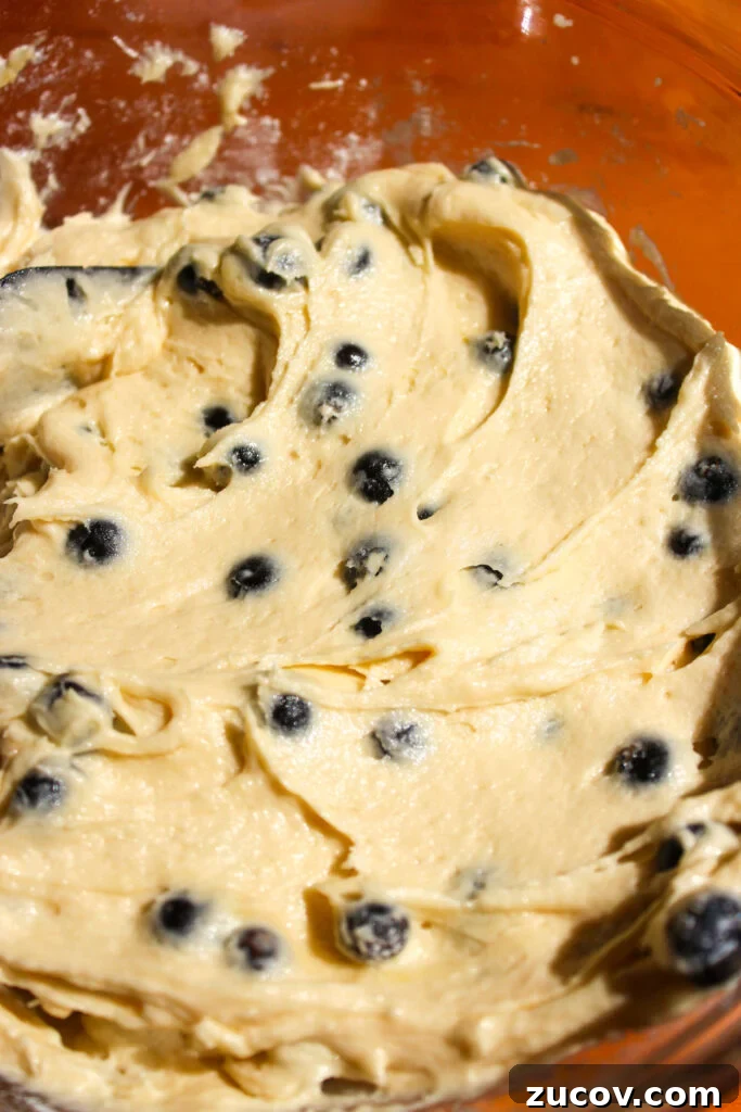 Perfectly Moist Blueberry Muffins You’ll Crave 11 img 24370 10