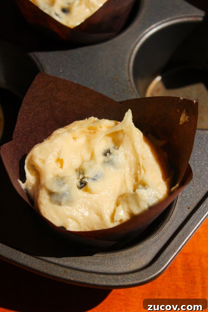 Perfectly Moist Blueberry Muffins You’ll Crave 12 img 24370 11