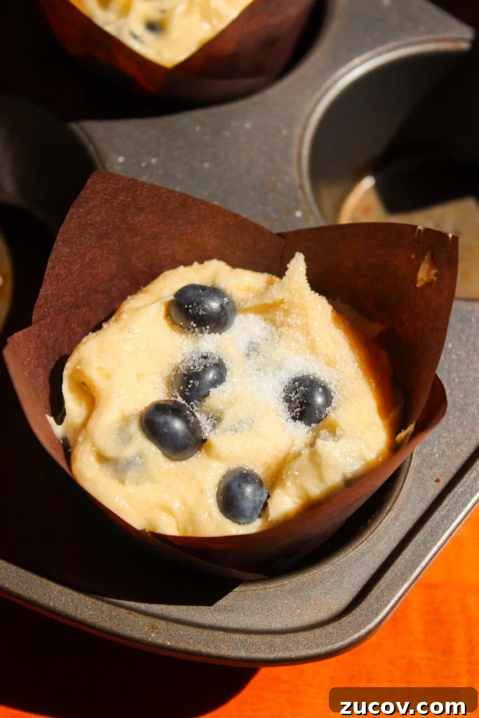 Perfectly Moist Blueberry Muffins You’ll Crave 13 img 24370 12