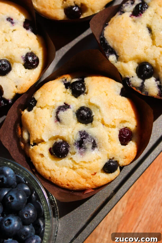 Perfectly Moist Blueberry Muffins You’ll Crave 15 img 24370 14