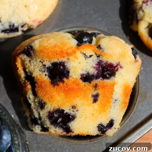 Perfectly Moist Blueberry Muffins You’ll Crave 16 img 24370 15