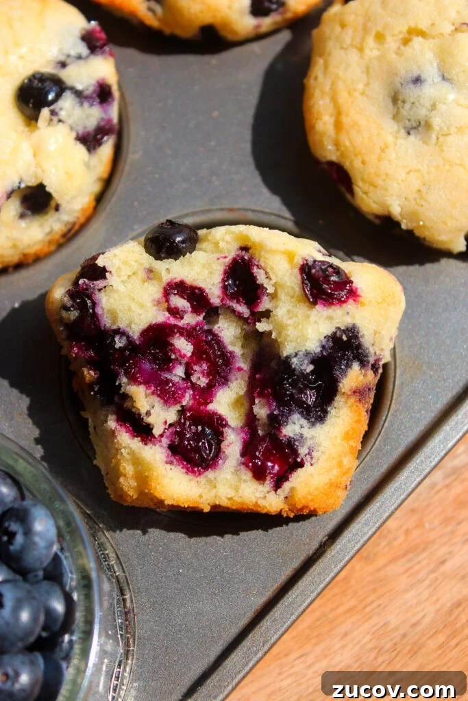 Perfectly Moist Blueberry Muffins You’ll Crave 3 img 24370 2