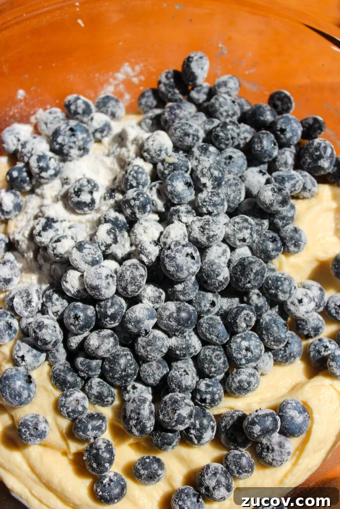 Perfectly Moist Blueberry Muffins You’ll Crave 10 img 24370 9