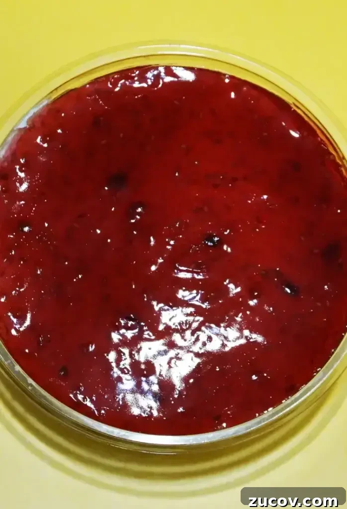 Arby’s Bronco Berry Sauce: Flavor Profile, Ingredients & Where to Buy 2 Bronco Berry Sauce