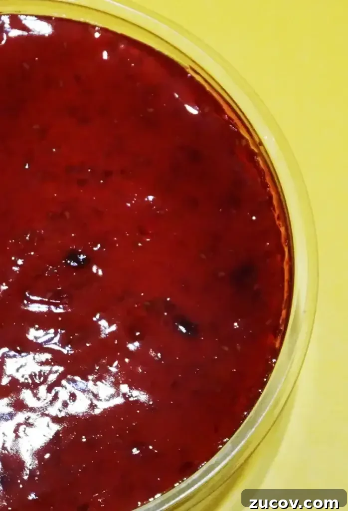 Arby’s Bronco Berry Sauce: Flavor Profile, Ingredients & Where to Buy 3 Sauce ingredients