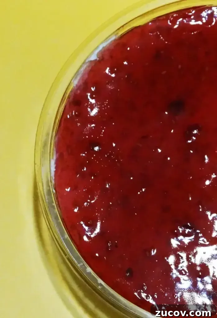 Arby’s Bronco Berry Sauce: Flavor Profile, Ingredients & Where to Buy 4 Finished sauce