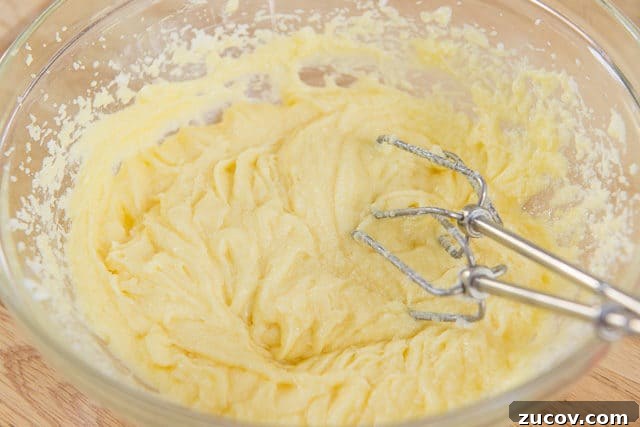 Chewy Lemon Crinkle Cookies Recipe for Bright Citrus Flavor 6 Wet Ingredients For Lemon Crinkle Cookies With Hand Mixer Beaters