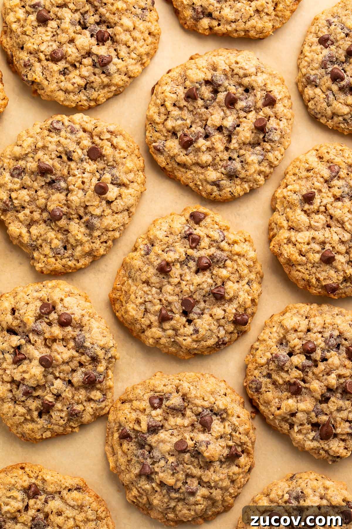 Gluten-Free Oatmeal Chocolate Chip Cookies Recipe 3 Gluten free oatmeal chocolate chip cookies arranged on a sheet of parchment paper.