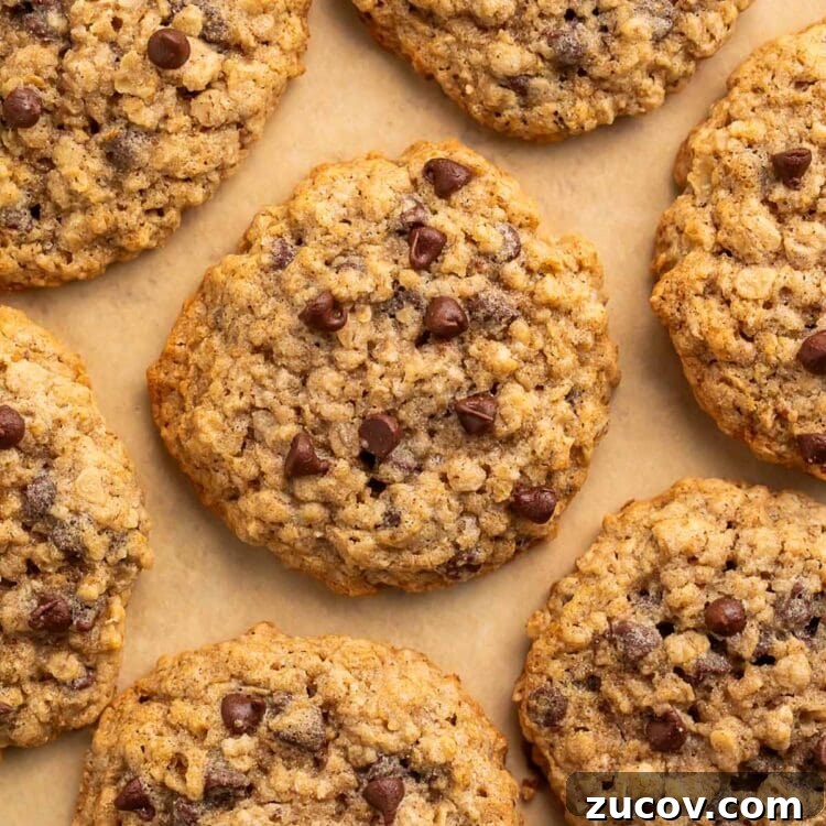 Gluten-Free Oatmeal Chocolate Chip Cookies Recipe 4 Gluten free oatmeal chocolate chip cookies arranged on a sheet of parchment paper.