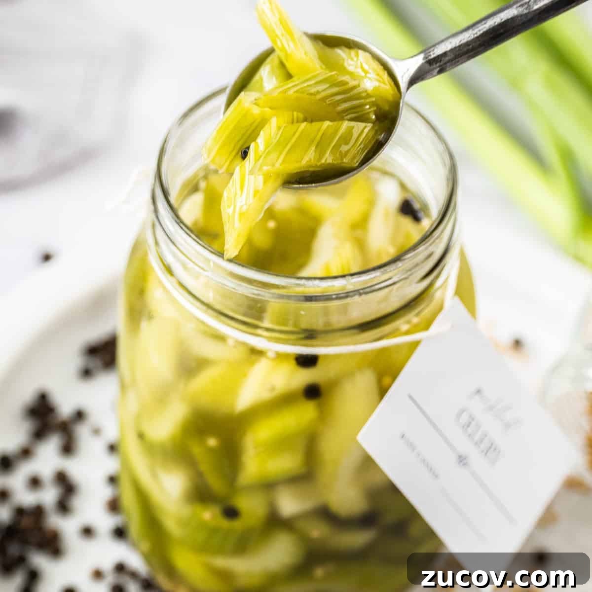 Jar of Pickled Celery, with a spoon lifting some pieces of celery out of it.