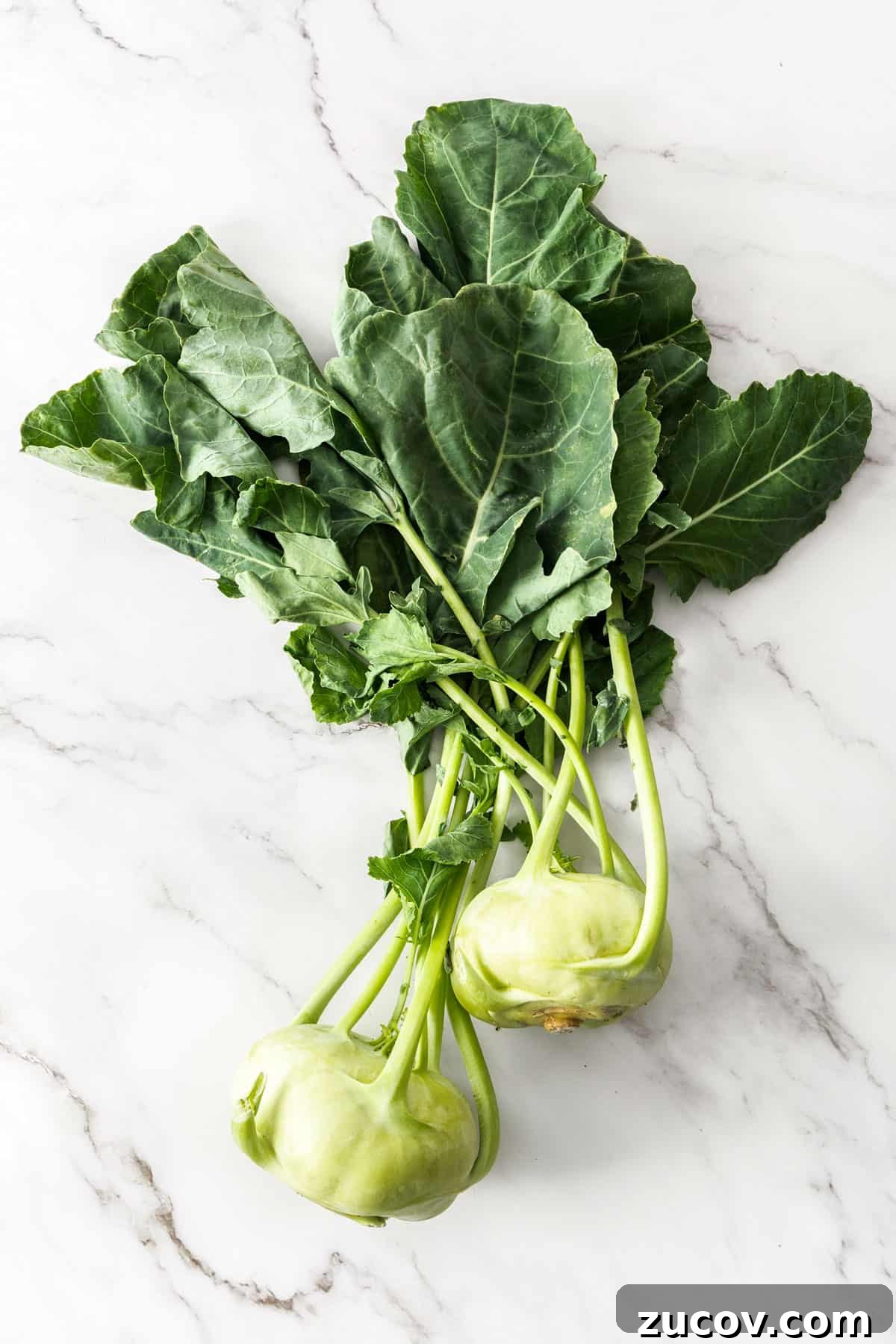 Crispy Pickled Kohlrabi Recipe for Tangy, Quick Ferments 3 Two whole kohlrabi, sitting on a white marble background.