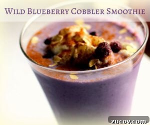 Wild Blueberry Cobbler Smoothie Recipe — Creamy Dessert Drink 2 Wild Blueberry Cobbler Smoothie (THM E, Low Fat)