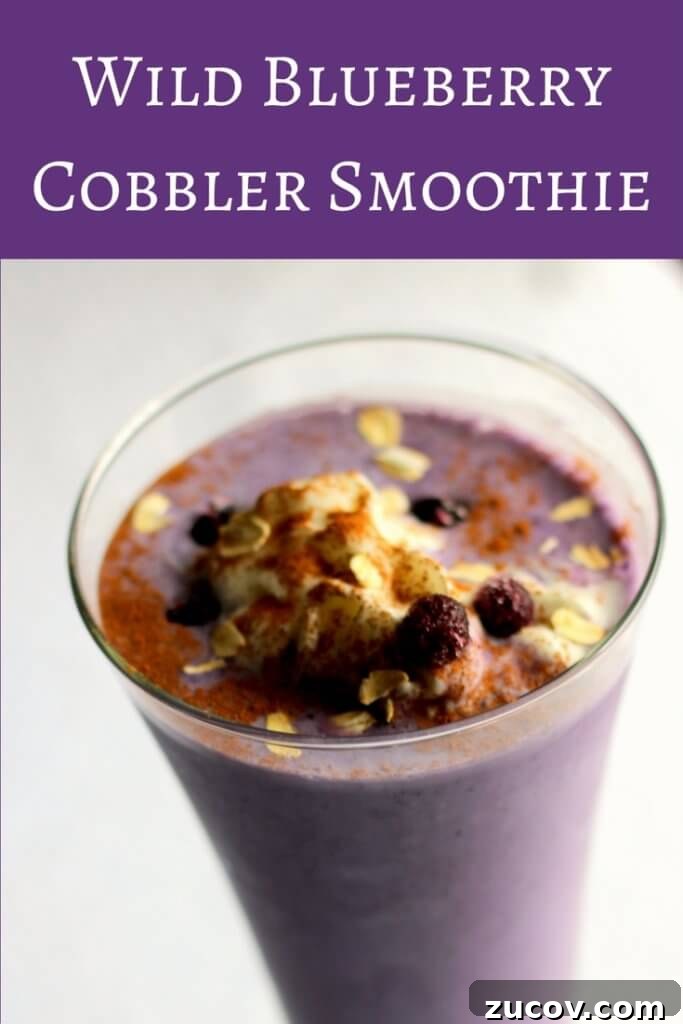 Wild Blueberry Cobbler Smoothie Recipe — Creamy Dessert Drink 3 #WildYourSmoothie with this great Wild Blueberry Cobbler Smoothie