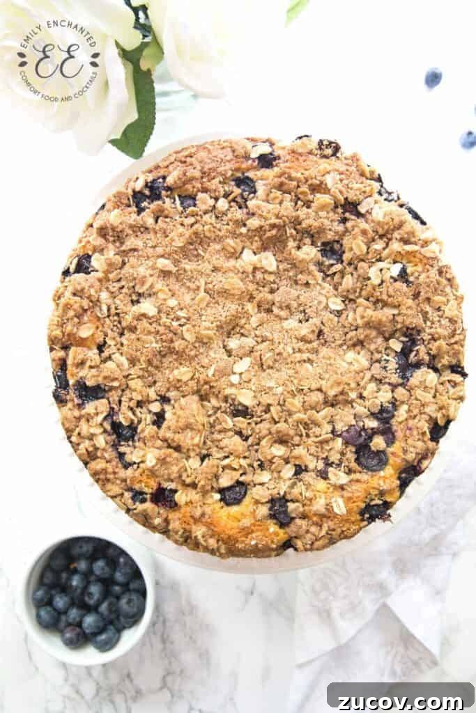 Blueberry Coffee Cake Recipe with Cinnamon Oat Streusel Blueberry Coffee Cake Recipe with Cinnamon Oat Streusel