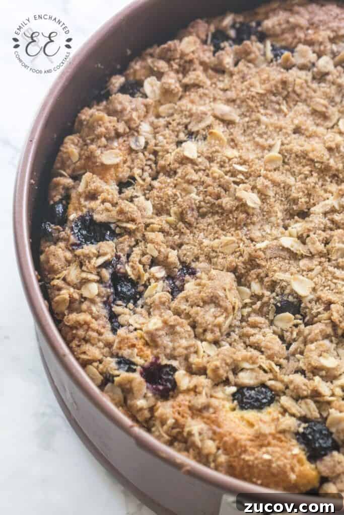 Blueberry Coffee Cake with Streusel Blueberry Coffee Cake with Streusel