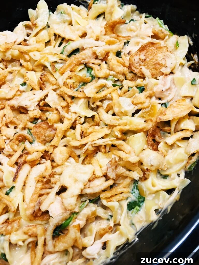 Slow Cooker Chicken with Fluffy Dumplings Recipe 12 Slow Cooker French Onion Chicken and Noodles