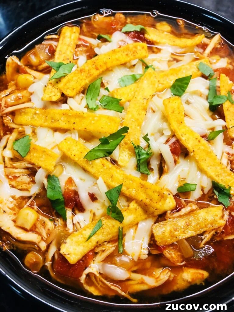 Slow Cooker Chicken with Fluffy Dumplings Recipe 13 Slow Cooker Chicken Tortilla Soup