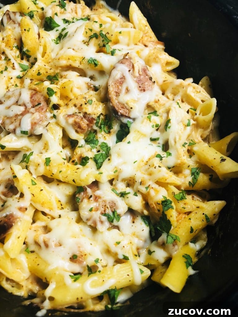Slow Cooker Chicken with Fluffy Dumplings Recipe 14 Slow Cooker Cheesy Cajun Pasta