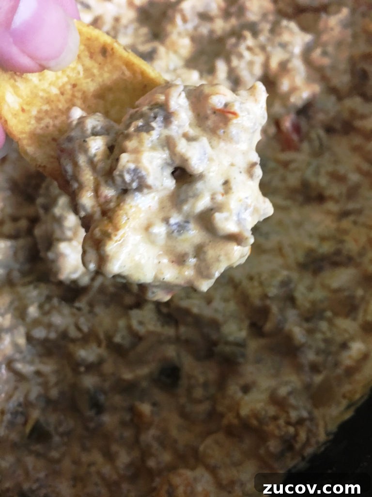 Slow Cooker Chicken with Fluffy Dumplings Recipe 15 Crockpot Sausage Dip