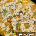 Slow Cooker Chicken with Fluffy Dumplings Recipe 19 Slow Cooker Chicken and Dumplings