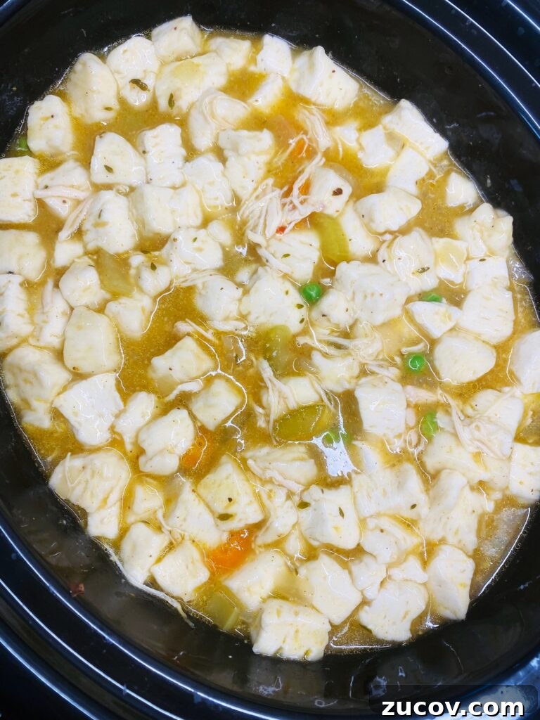 Slow Cooker Chicken with Fluffy Dumplings Recipe 8 adding biscuits to crock pot