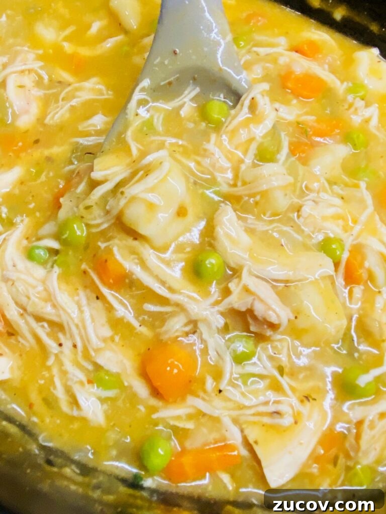 Slow Cooker Chicken with Fluffy Dumplings Recipe 10 Slow Cooker Chicken and Dumplings