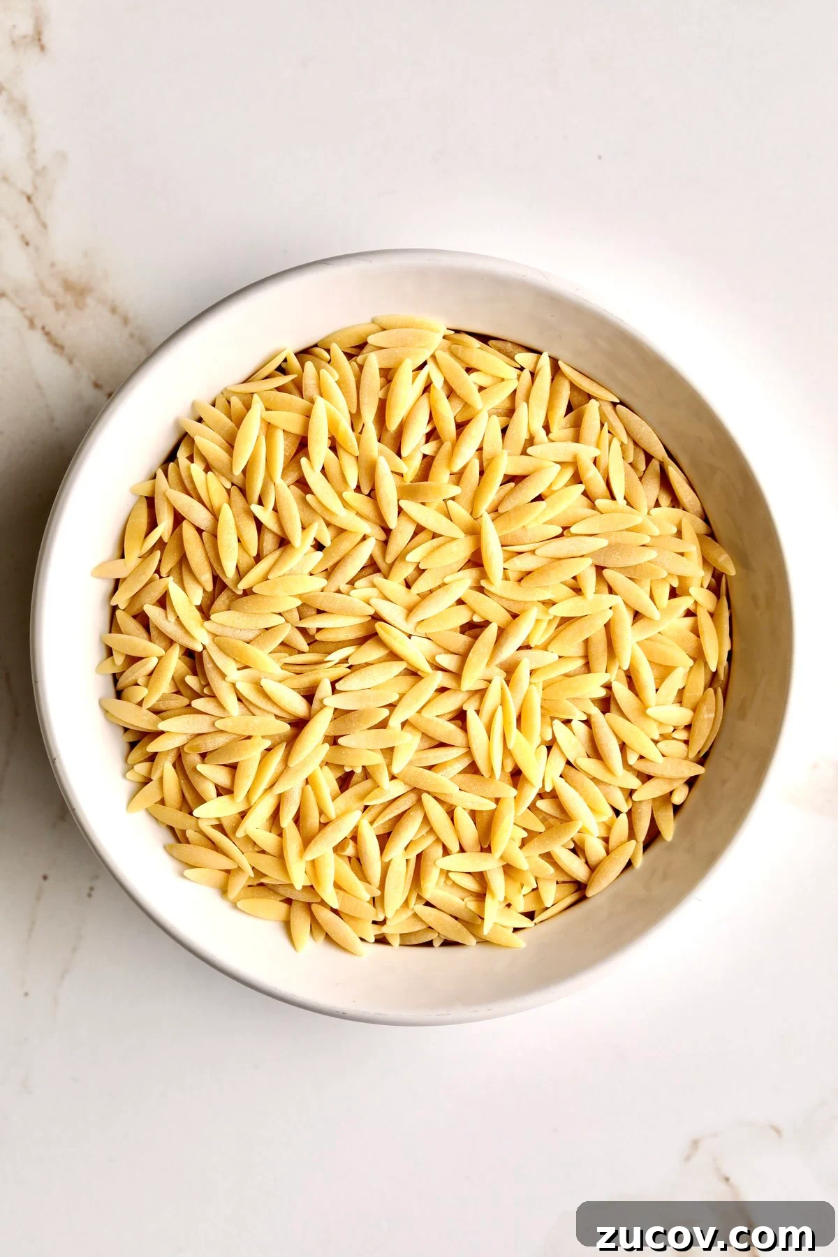 Orzo vs Risotto: Key Differences, Cooking Tips & Recipes 2 Orzo vs risotto