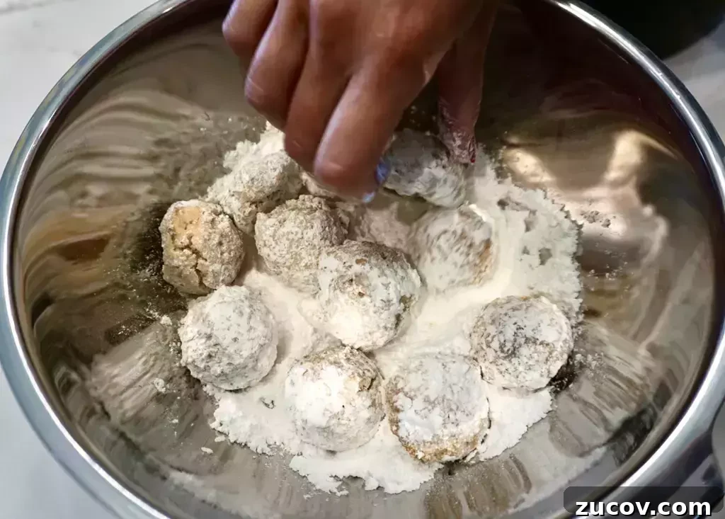 Air Fryer Powdered Donut Holes Recipe You Can Make Fast 6 air fryer powdered sugar donut holes