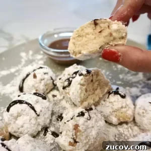 Air Fryer Powdered Donut Holes Recipe You Can Make Fast 8 air fryer powdered sugar donut holes