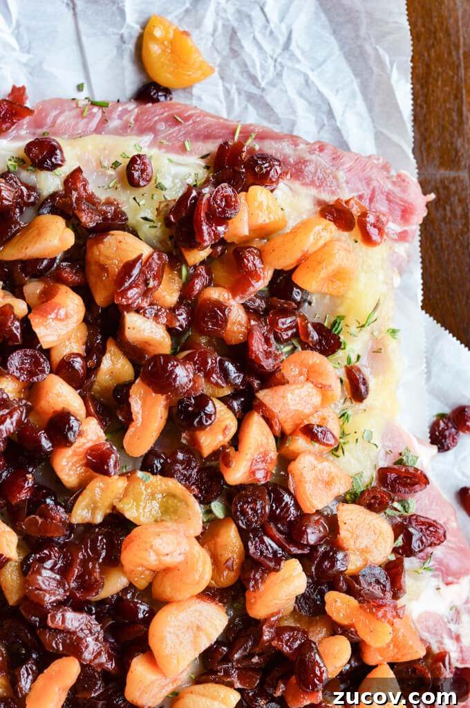 Fruit-Stuffed Pork Loin Roast with Apple and Cranberry Filling 5 A raw piece of pork loin roast butterflied layered with applesauce, fresh herbs and dried apricots and craisins.